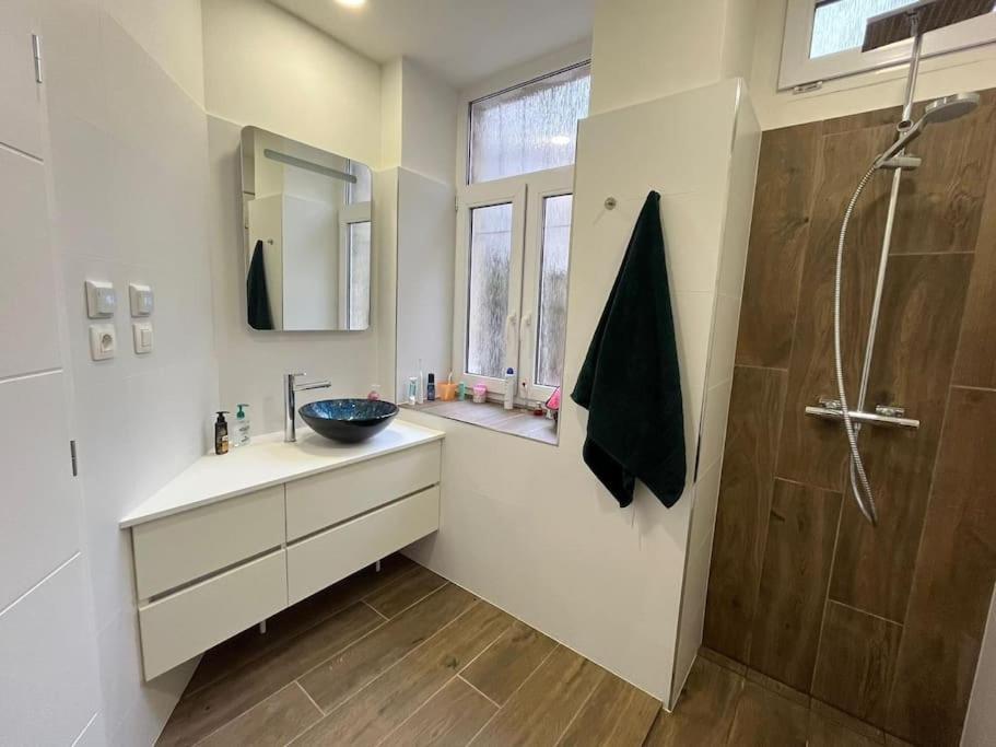 Apartman V Srdci Bratislavy 布拉迪斯拉发 外观 照片