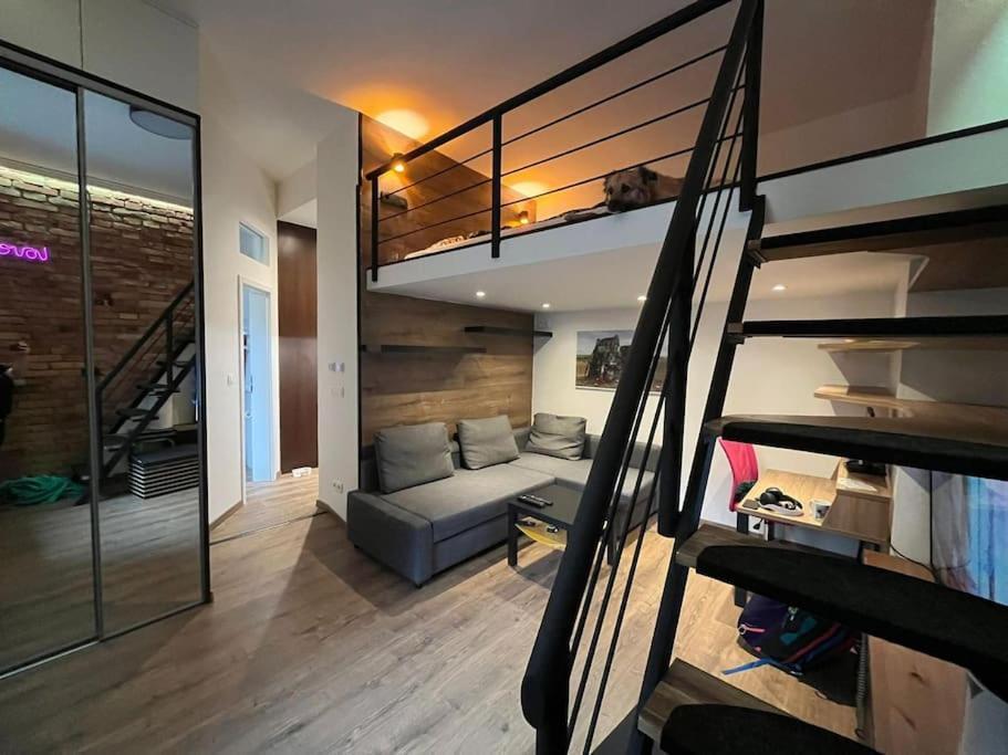 Apartman V Srdci Bratislavy 布拉迪斯拉发 外观 照片